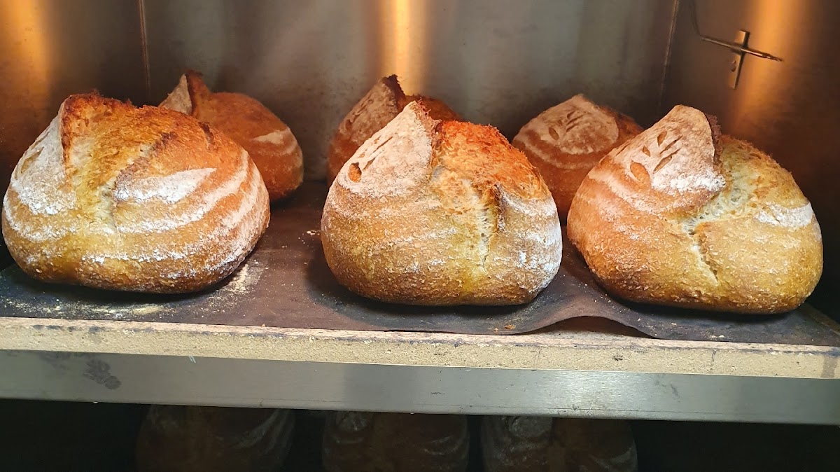 Golden focaccia fresh from the oven